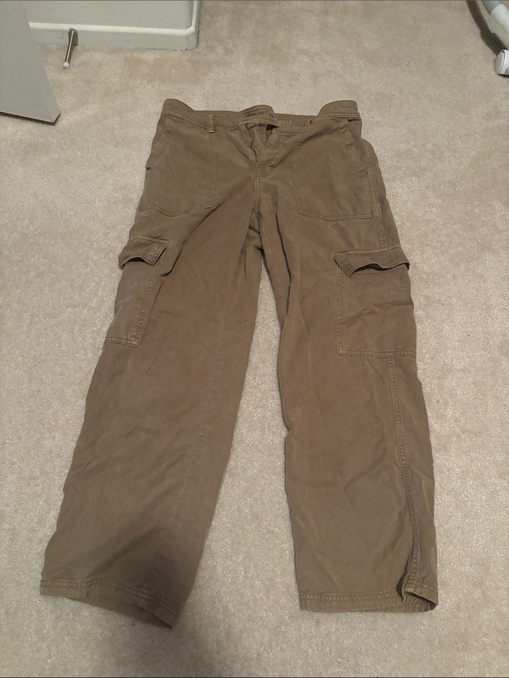 AE standard Cargo Pant